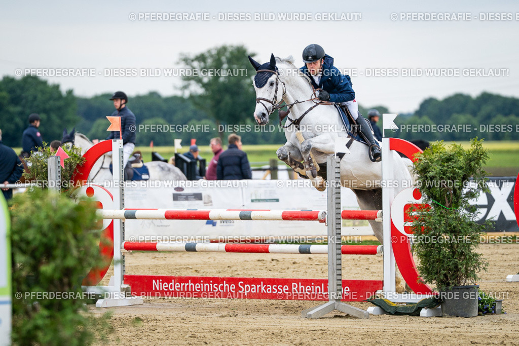 DSC05887 | Pferdegrafie