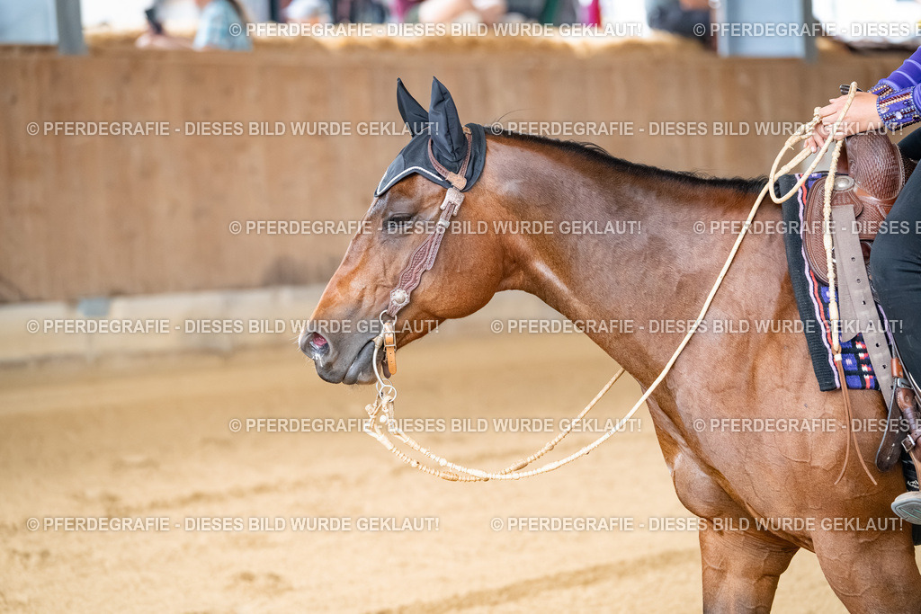 DSC07840 | Pferdegrafie