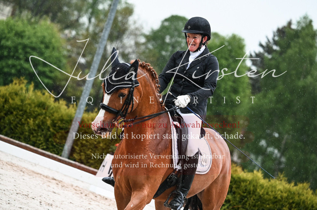 DSC_4472 | Pferde- und Turnierfotografie in Westsachsen. Pferdeportraits, Auftragszeichnungen und intuitive Kunst.