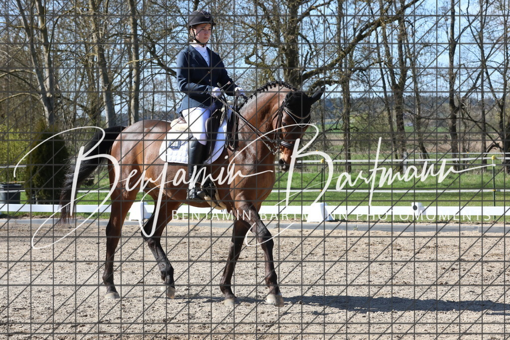 AZ2A4923 | Benjamin Bartmann Photomoments