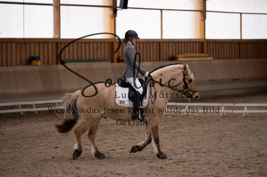 A7V09409 | Pferdefotograf