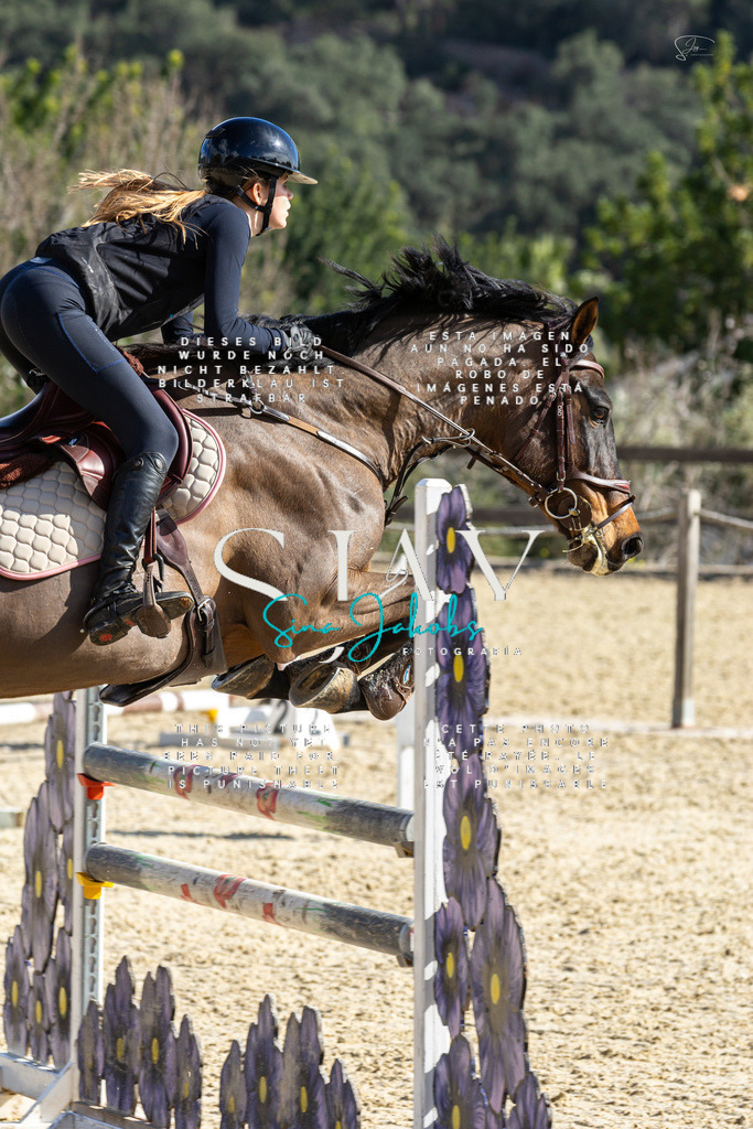 IMG_4149 | s-jay-photography - Realisiert mit Pictrs.com