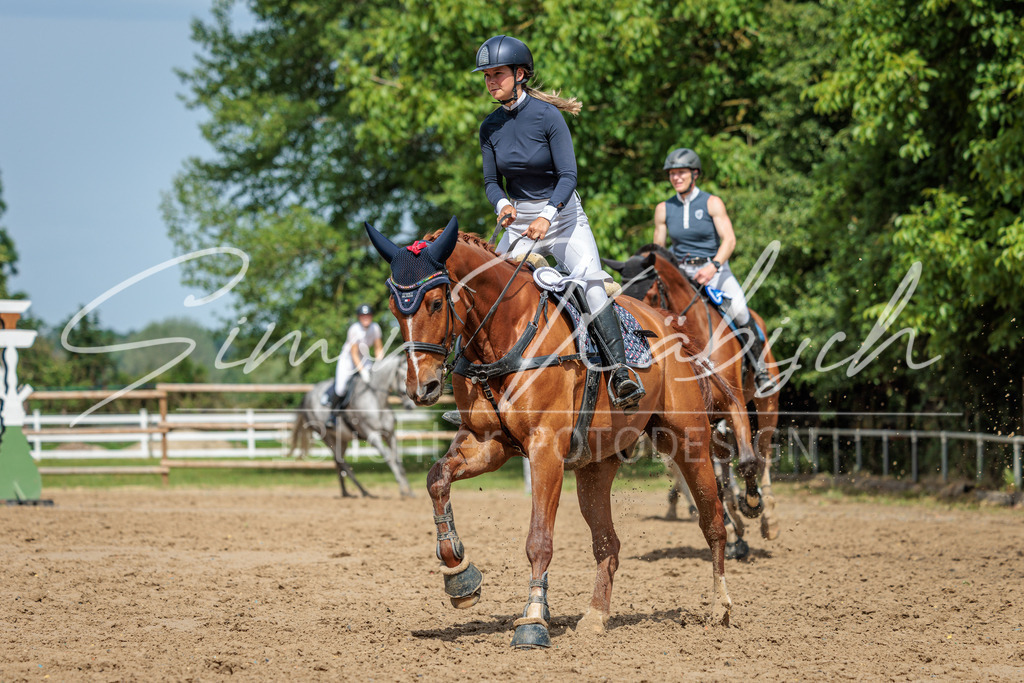 20260530-_3LI3133 | Tierfotografie Pferde, Hunde, Katzen, Haustiere.
Turnierfotografie Reitturniere, Reiten, Springreiten, Dressur in Hanau, dem Main-Kinzig-Kreis und dem Rhein-Main- Gebiet um Frankfurt