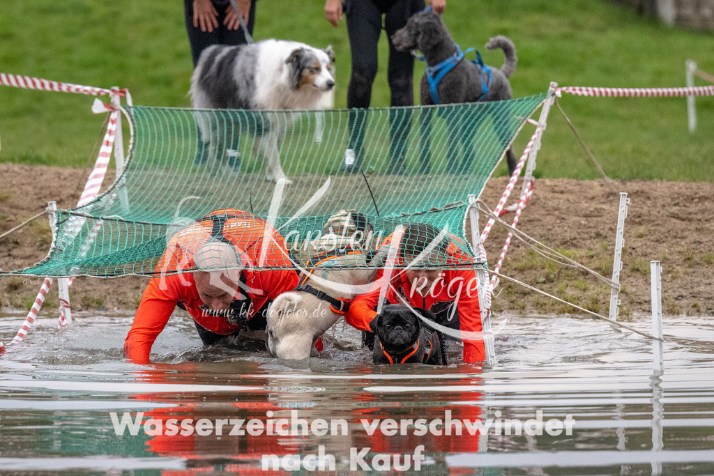 0812_ZZ90262 | kk-dogfotos