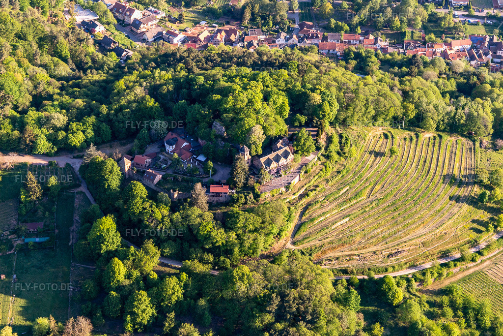 Luftbild: Schloß Kropsburg in Sankt Martin im Bundesland Rheinland-Pfalz in Deutschland. Foto: IMG_120591.jpg vom 26.04.2020 durch Werner Riehm/FLY-FOTO.de