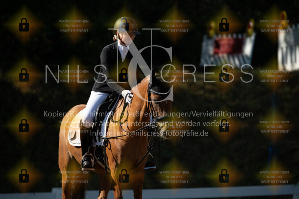 DSC_8156 | Nils Cress - Fotografie - Realisiert mit Pictrs.com