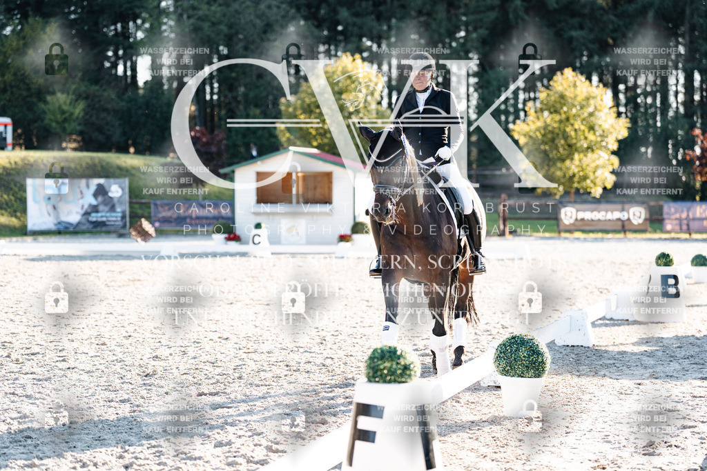 CK907231 | Turnierfotografie Pferdefotografie Trier Rheinland-Pfalz Pferdesport Reitsport Tierfotografie Sportfotografie Pferdevideo Pferdevideografie Equestrianvideography equestrianphotography  - Realisiert mit Pictrs.com