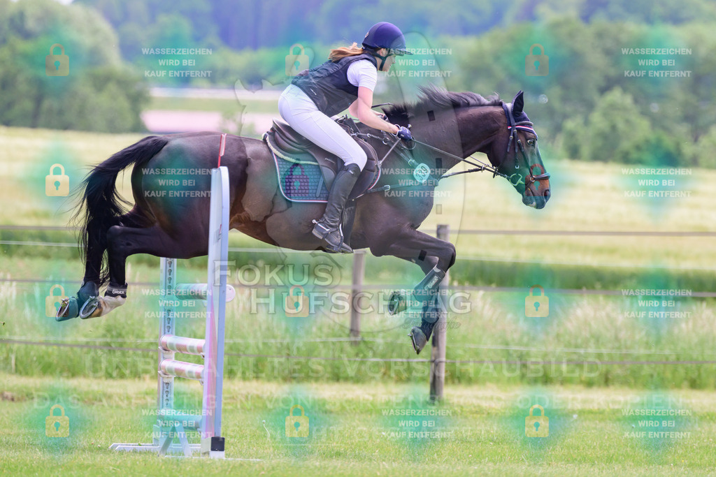 30052026-Forstinning-Prfg23-0223 | Fokus Hufschlag Fotografie - Realisiert mit Pictrs.com