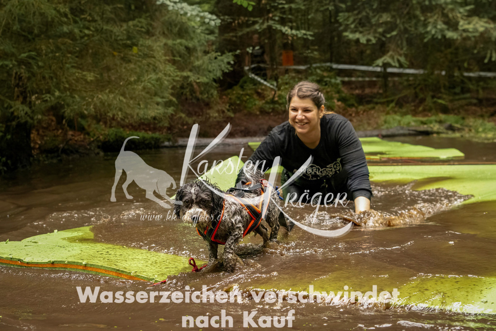 1217_ZZ93606-Bearbeitet | kk-dogfotos