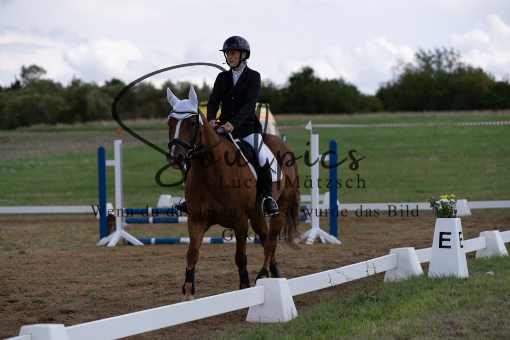 A7V03112 | Pferdefotograf