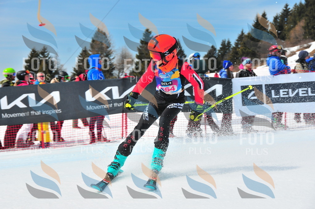 DSC_6218 | holidayphoto