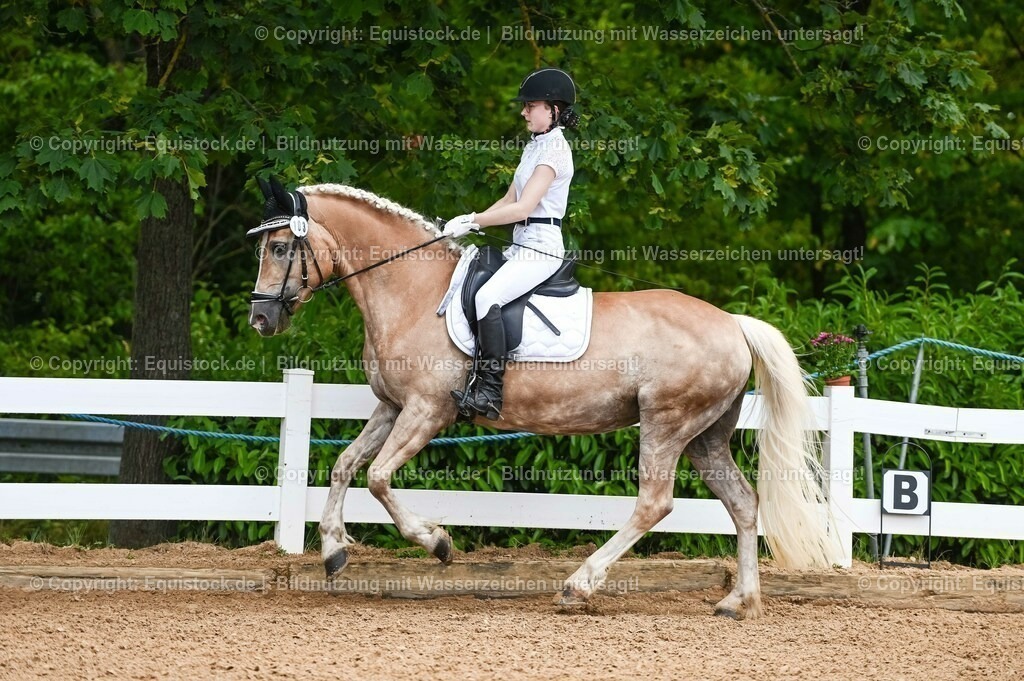 20230715_05_Dressurprüfung Kl.A++_0101 | equistock
