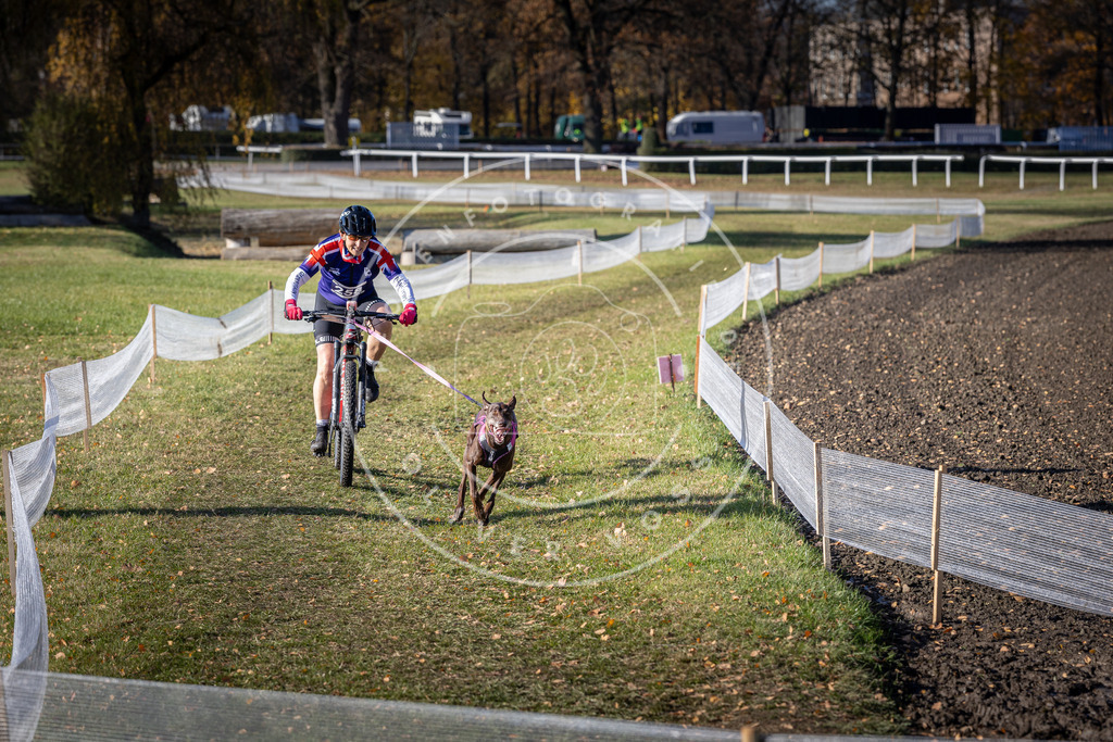 CaniXpix_DV3A4772 | Hundefotografie, Tierfotograf, Pfotenfotografie, Fotoshooting Hund, Hunde Portrait, Hundesport, Hundeportraits, Heideshooting, Hunde, Sportfotograf, Hundefotograf, Turnierhundsport, THS,  - Realisiert mit Pictrs.com