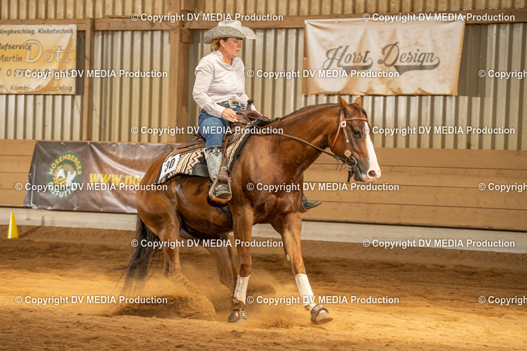 NID02055 | dv-media-shop - Realisiert mit Pictrs.com