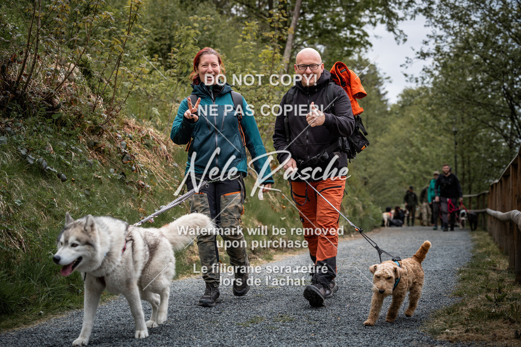 nelerasche_SaAbends_176 | nelerasche