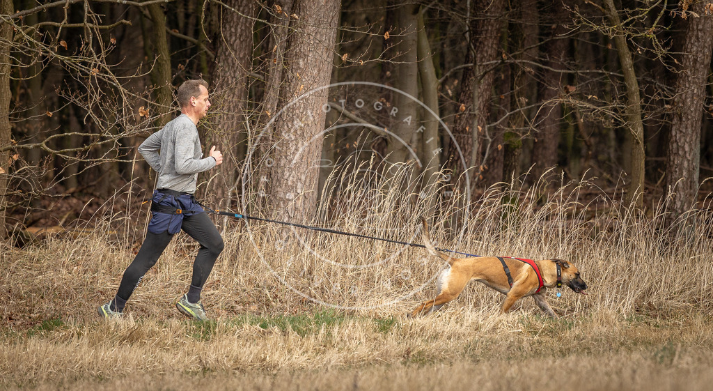 DV3A4219 | Hundefotografie, Tierfotograf, Pfotenfotografie, Fotoshooting Hund, Hunde Portrait, Hundesport, Hundeportraits, Heideshooting, Hunde, Sportfotograf, Hundefotograf, Turnierhundsport, THS,  - Realisiert mit Pictrs.com