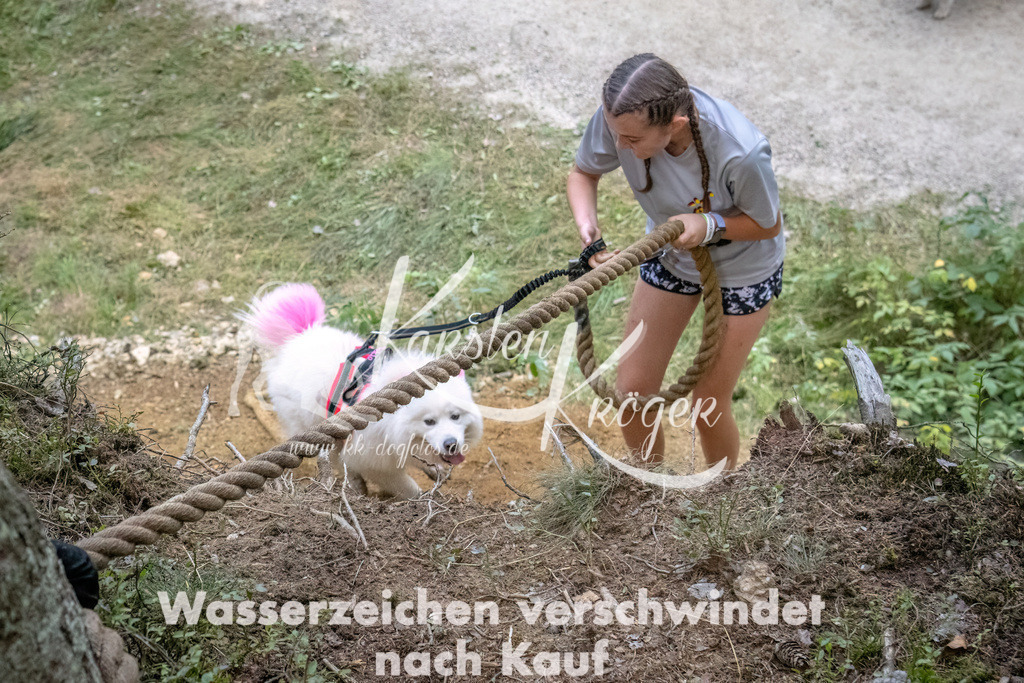 0951_ZZ93527-DeNoiseAI-low-light | kk-dogfotos