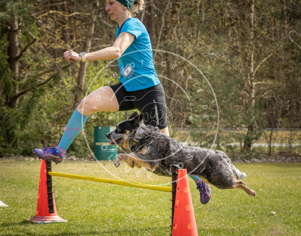 Pfotenfotografie_DV3A6544 | Hundefotografie, Tierfotograf, Pfotenfotografie, Fotoshooting Hund, Hunde Portrait, Hundesport, Hundeportraits, Heideshooting, Hunde, Sportfotograf, Hundefotograf, Turnierhundsport, THS,  - Realisiert mit Pictrs.com