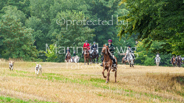 Jagd Kletkamp 26-02854_MarinaHewig | Fotografie, FotoArt, PferdesportArt, Pferdesportfotografie, Landschaftsfotografie, Reisefotografie, Reise, Pferde - Realisiert mit Pictrs.com