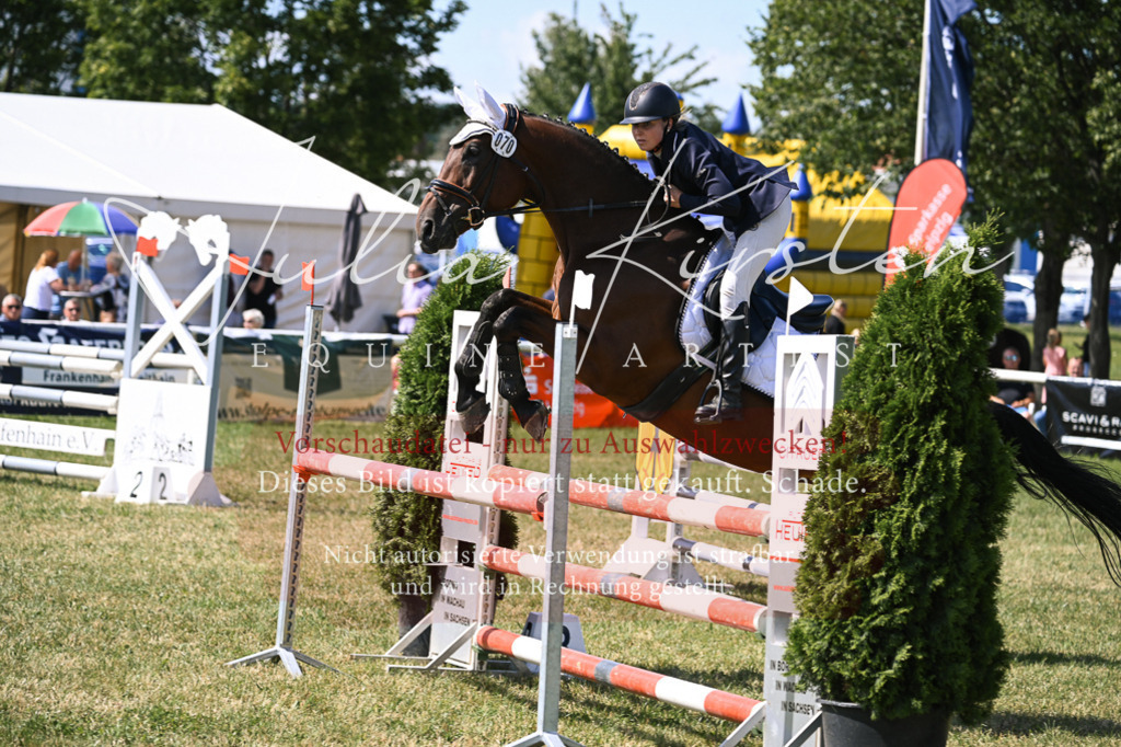 DSC_0470 | Pferde- und Turnierfotografie in Westsachsen. Pferdeportraits, Auftragszeichnungen und intuitive Kunst.