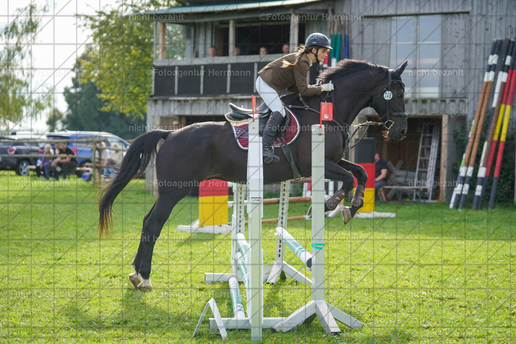 20230917-FAH09081 | Landsberg am Lech, 2023, Kaufbeuren, Kempten, Allgäu, Turnierfotografen Bayern, Fotoagentur Herrmann, Turnierbilder, Reitsport Fotos, Pferdefotograf, Augsburg, Bad Tölz, Dachau, Karlsfeld, Memmingen, Buchloe, Schwabmünchen