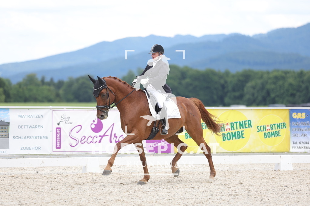 0P6A7086 | Willkommen bei Brunnmayr - Design & Fotografie – Ihrem Spezialisten für Reitturniere und Pferdeveranstaltungen in Oberösterreich, Salzburg und Bayern! Seit über 17 Jahren sind wir leidenschaftlich dabei.