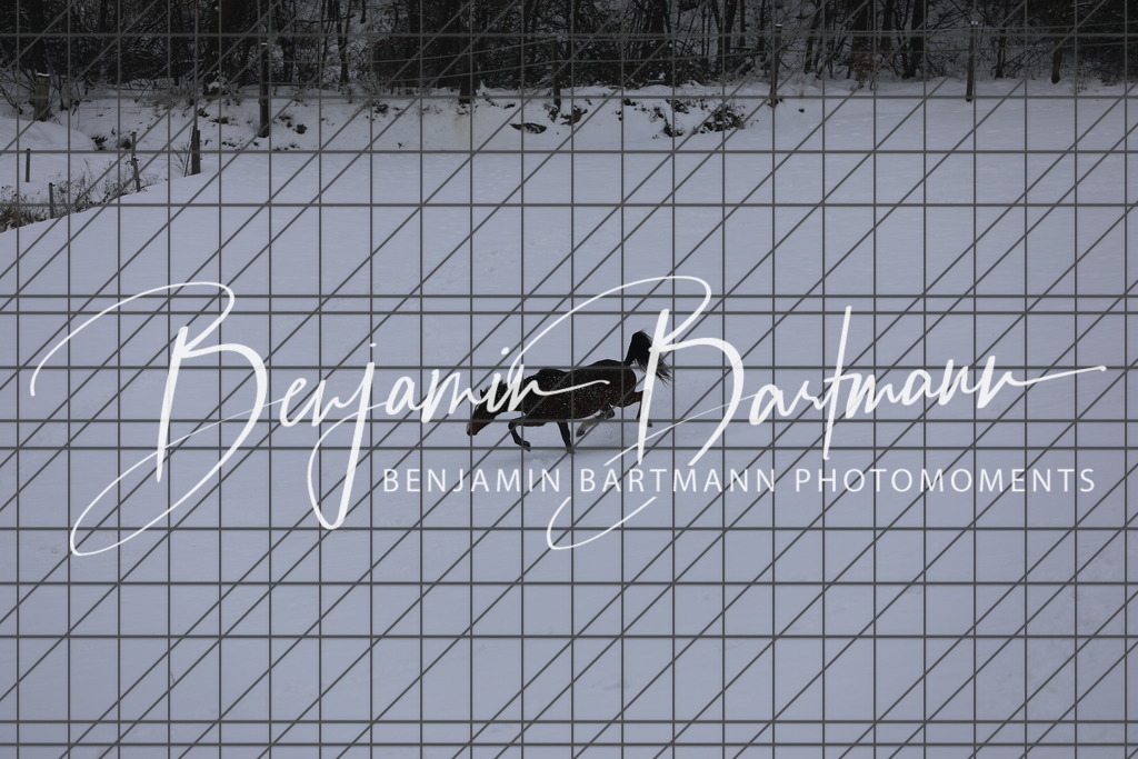 AZ2A3413 | Benjamin Bartmann Photomoments