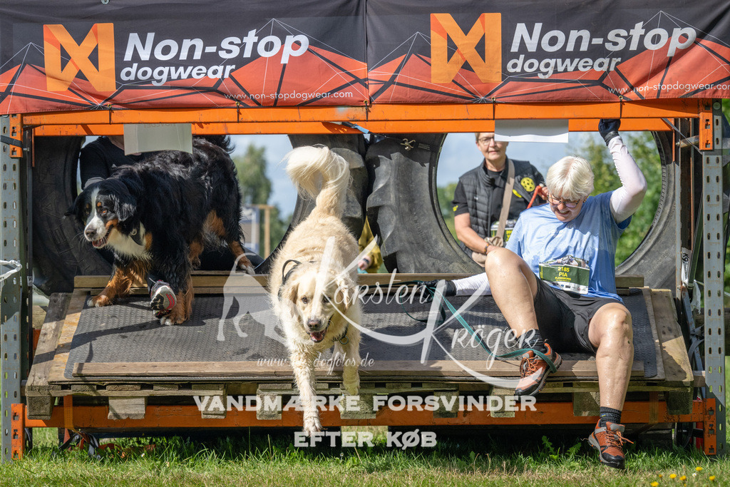 1548_ZZ94290 | kk-dogfotos