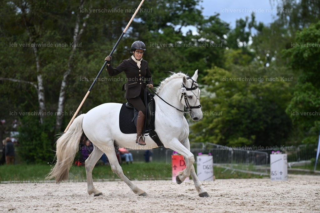 PI26_ST_Sara_Landvogt226_2999.JPG | working equitationturnier fotograf videograf stoibphotography marixx film working equitation deutschland reitsport turnierfotografie eventfotografie equestrian events