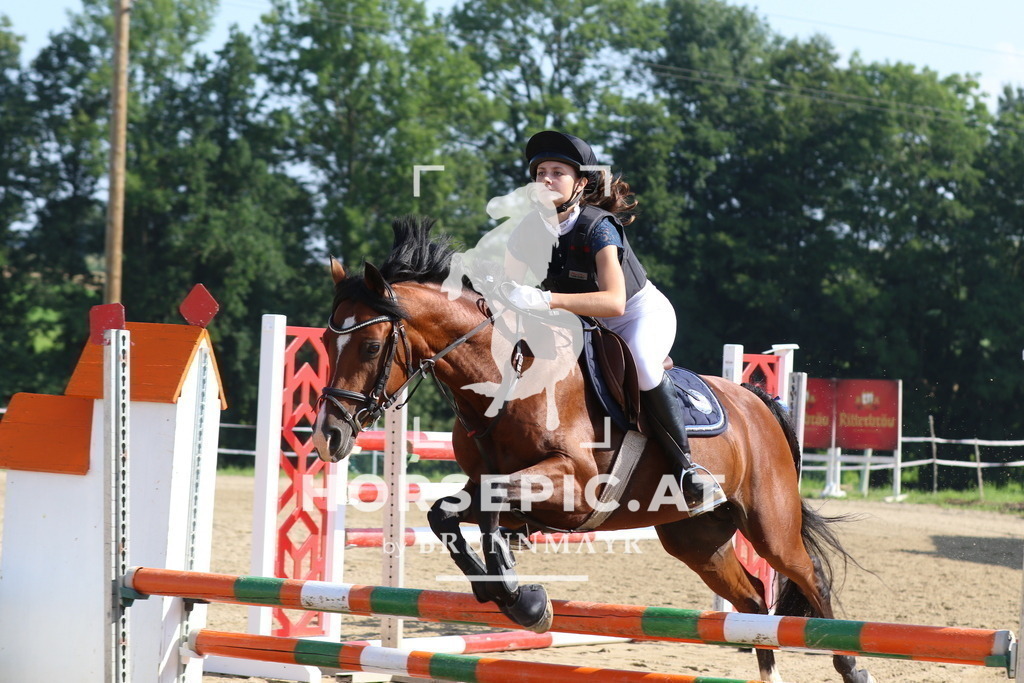 7V2A4040 | Willkommen bei Brunnmayr - Design & Fotografie – Ihrem Spezialisten für Reitturniere und Pferdeveranstaltungen in Oberösterreich, Salzburg und Bayern! Seit über 17 Jahren sind wir leidenschaftlich dabei.