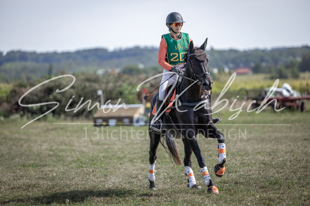 20250907-_3LI2118 | Tierfotografie Pferde, Hunde, Katzen, Haustiere.
Turnierfotografie Reitturniere, Reiten, Springreiten, Dressur in Hanau, dem Main-Kinzig-Kreis und dem Rhein-Main- Gebiet um Frankfurt