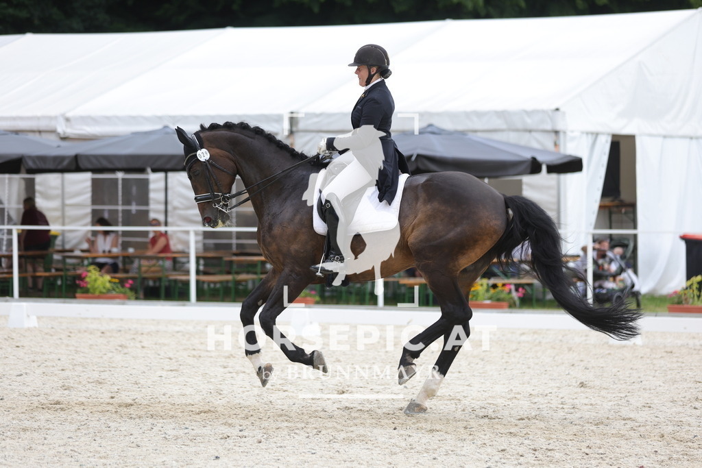 0P6A7259 | Willkommen bei Brunnmayr - Design & Fotografie – Ihrem Spezialisten für Reitturniere und Pferdeveranstaltungen in Oberösterreich, Salzburg und Bayern! Seit über 17 Jahren sind wir leidenschaftlich dabei.