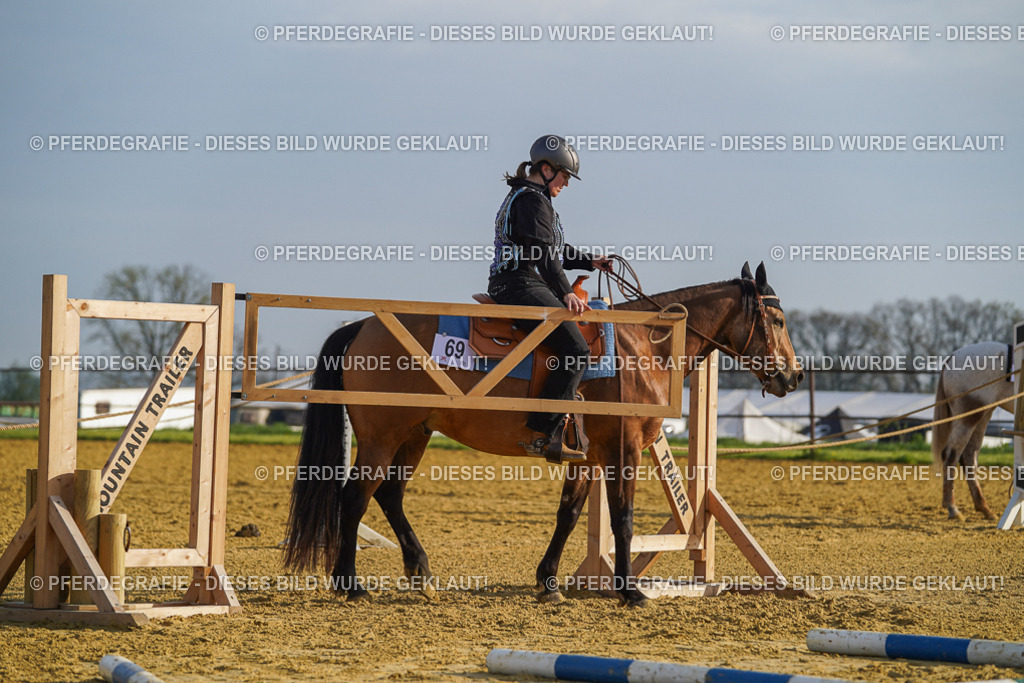 DSC00670 | Pferdegrafie