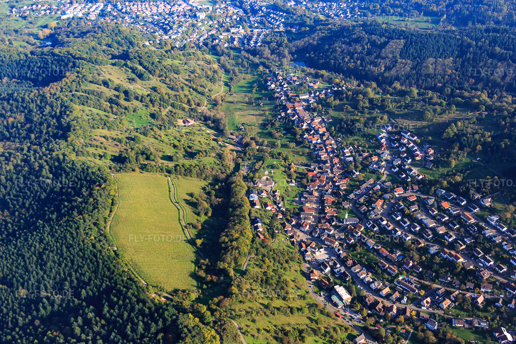 Luftbild: Weinberg zwischen Wald und Ort im Ortsteil Staufenberg in Gernsbach im Bundesland Baden-Württemberg in Deutschland. Foto: IMG_075325.jpg vom 26.10.2014 durch Werner Riehm/FLY-FOTO.de