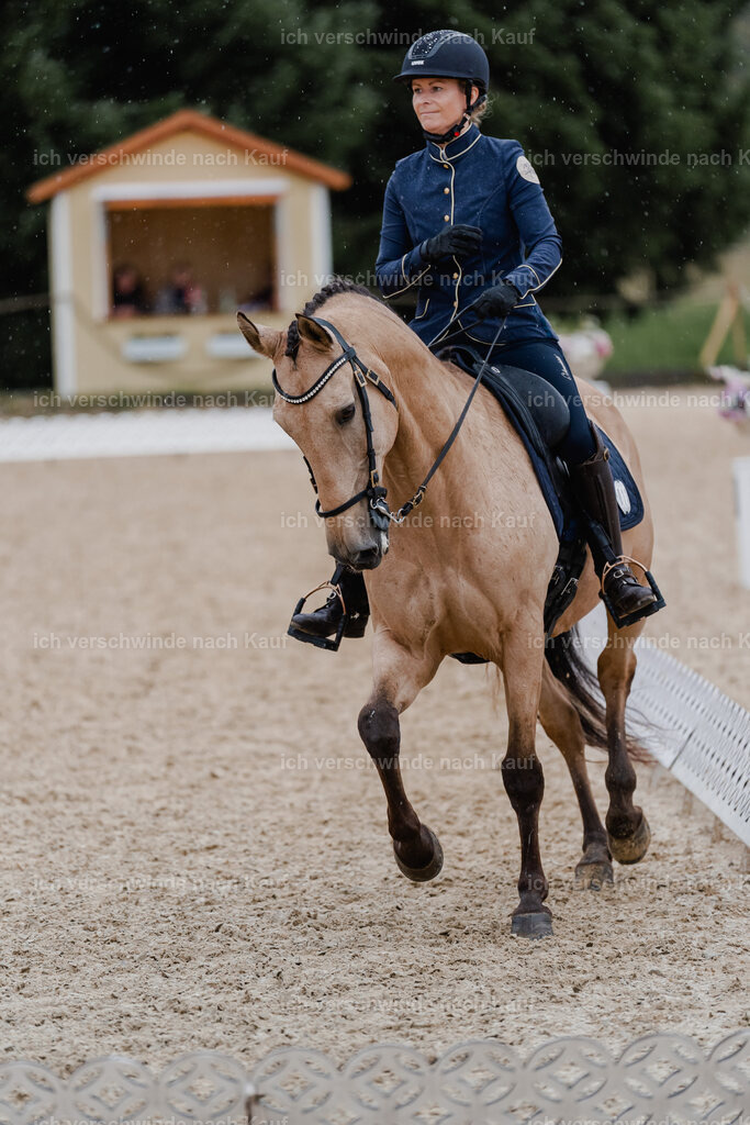 Diana11_FHC2025-8724 | working equitationturnier fotograf videograf stoibphotography marixx film working equitation deutschland reitsport turnierfotografie eventfotografie equestrian events