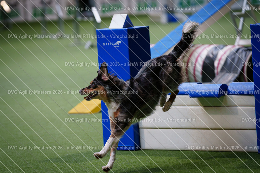 allesWIRTHgut_Tierfotografie-DVG_Agility_Masters_2026-14_34-7R500677 | Professionelle Tierfotografie in Mönchengladbach von Daniel Wirth (allesWIRTHgut). Liebevolle & natürliche Bilder von Hunden & Katzen für unvergessliche Erinnerungen.