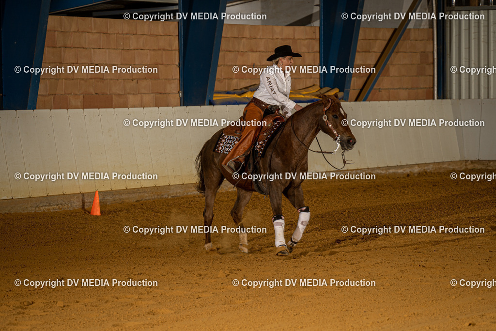 MIT00591 | dv-media-shop - Realisiert mit Pictrs.com