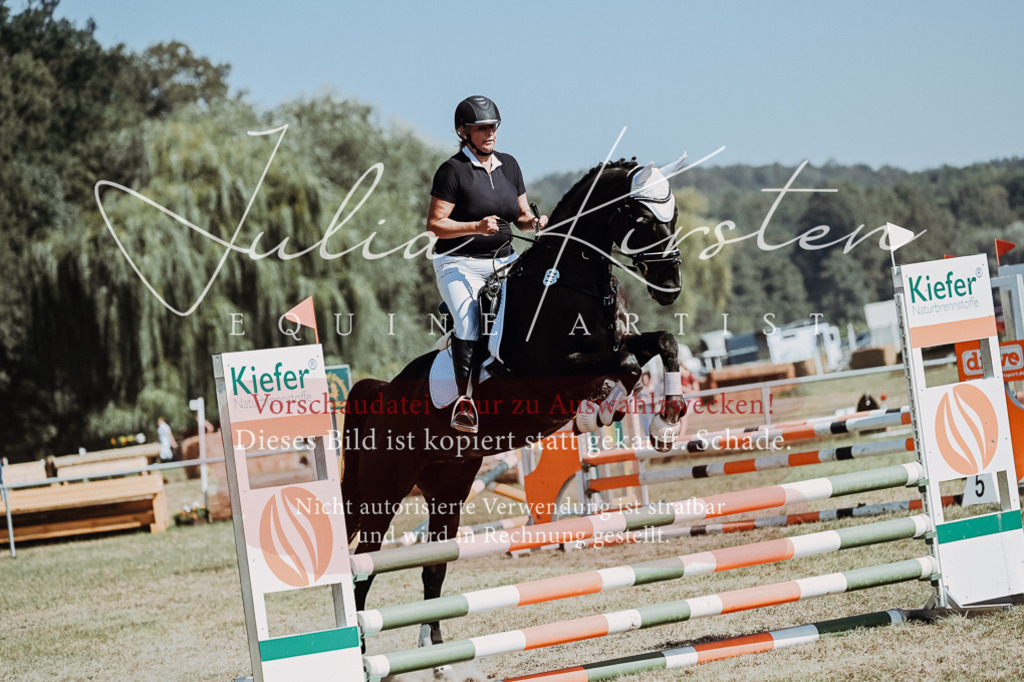 DSC_9719 | Pferde- und Turnierfotografie in Westsachsen. Pferdeportraits, Auftragszeichnungen und intuitive Kunst.