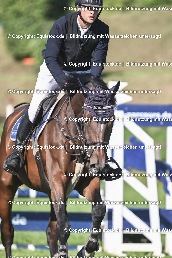 20230908_14-15_Springpferde-A_0089 | equistock