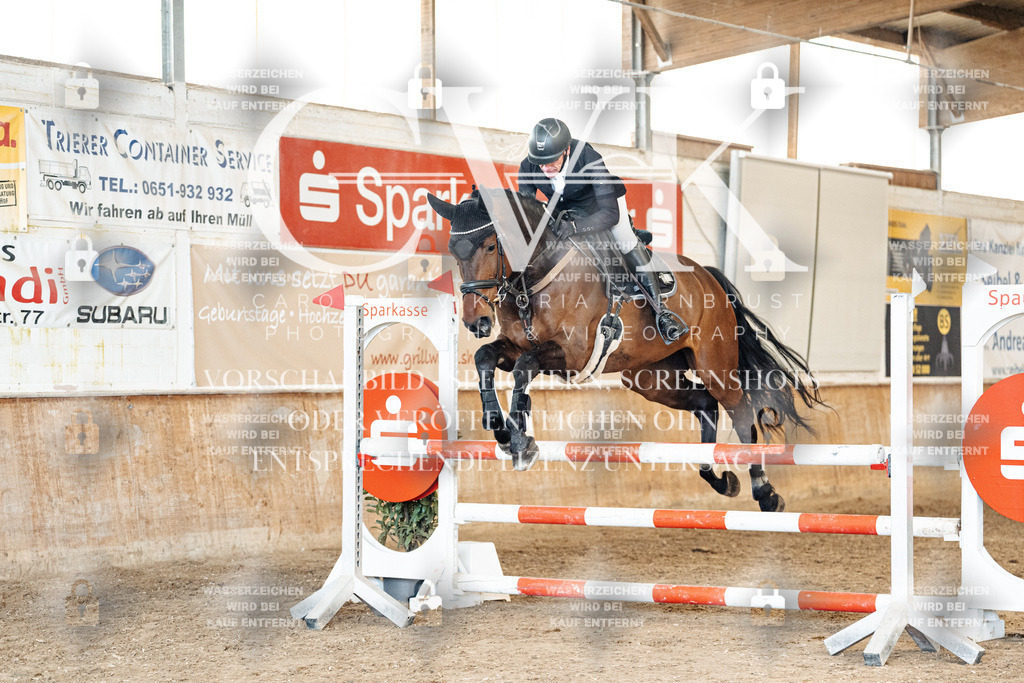 CK905279 | Turnierfotografie Pferdefotografie Trier Rheinland-Pfalz Pferdesport Reitsport Tierfotografie Sportfotografie Pferdevideo Pferdevideografie Equestrianvideography equestrianphotography  - Realisiert mit Pictrs.com