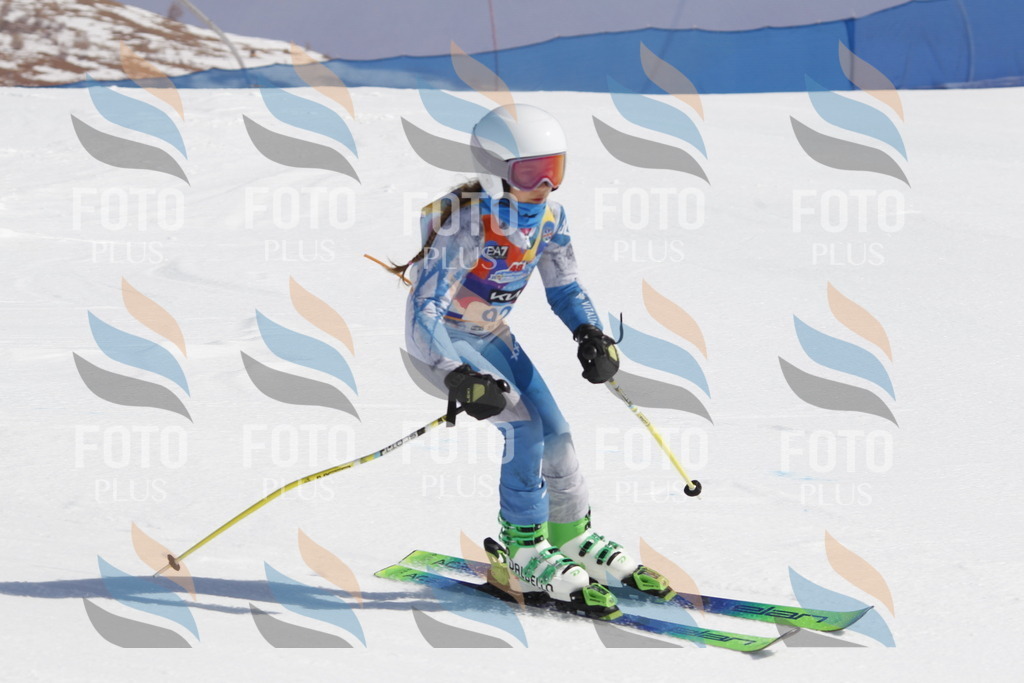 _U3G0206 | holidayphoto