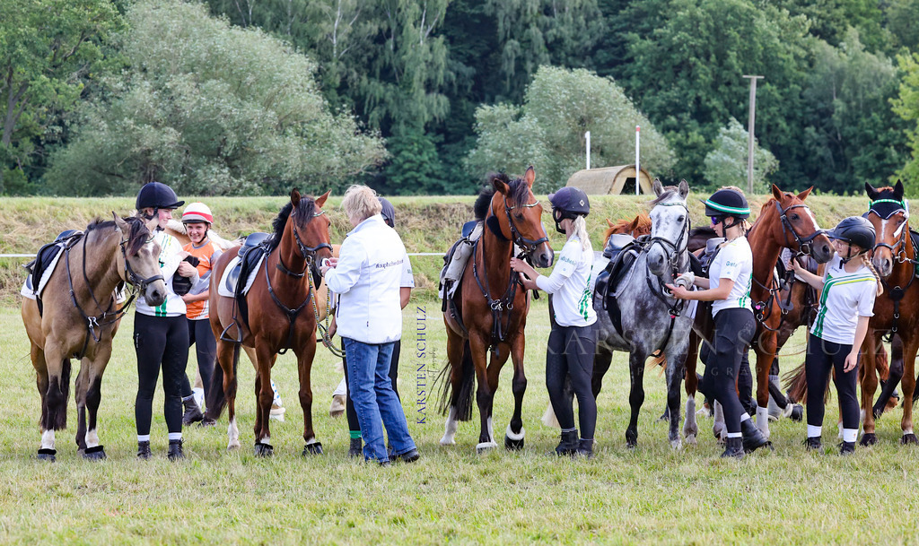 1B3A4936 | Reitsport Reiten