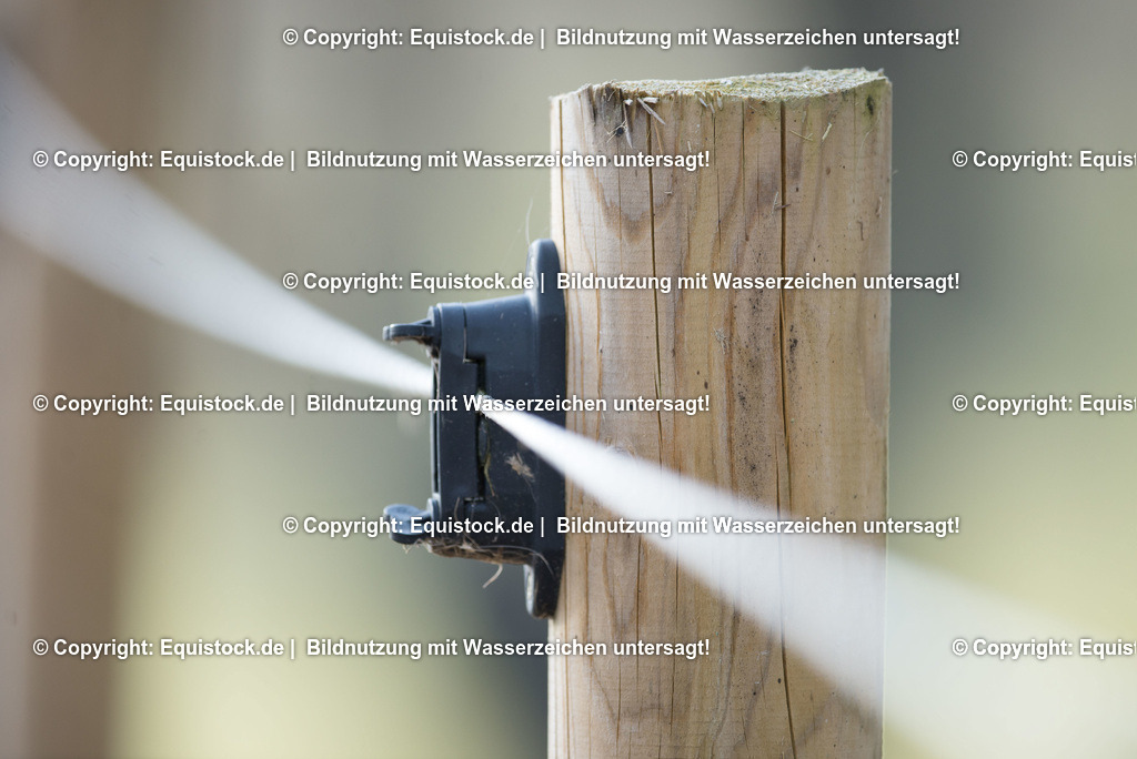 TS_20180305_Stromzaun_0001 | Foto: Thomas Hartig