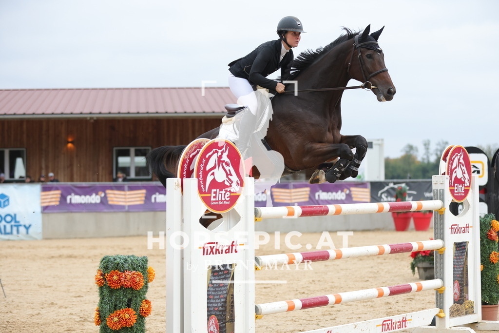0P6A4576 | Willkommen bei Brunnmayr - Design & Fotografie – Ihrem Spezialisten für Reitturniere und Pferdeveranstaltungen in Oberösterreich, Salzburg und Bayern! Seit über 17 Jahren sind wir leidenschaftlich dabei.