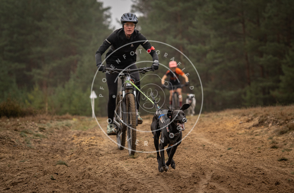 Pfotenfotografie_DV3A3229 | Hundefotografie, Tierfotograf, Pfotenfotografie, Fotoshooting Hund, Hunde Portrait, Hundesport, Hundeportraits, Heideshooting, Hunde, Sportfotograf, Hundefotograf, Turnierhundsport, THS,  - Realisiert mit Pictrs.com