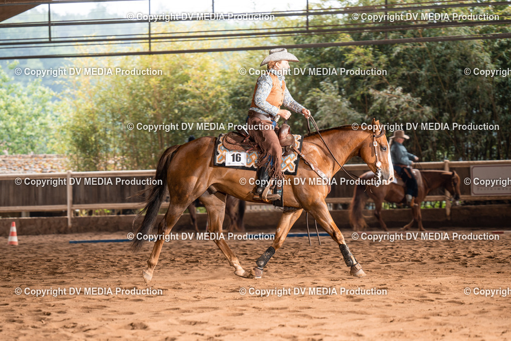 Erbach Tag 2-587 | dv-media-shop - Realisiert mit Pictrs.com