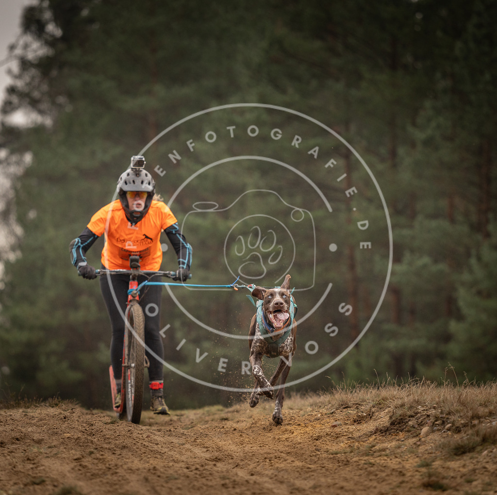 Pfotenfotografie_DV3A4572 | Hundefotografie, Tierfotograf, Pfotenfotografie, Fotoshooting Hund, Hunde Portrait, Hundesport, Hundeportraits, Heideshooting, Hunde, Sportfotograf, Hundefotograf, Turnierhundsport, THS,  - Realisiert mit Pictrs.com