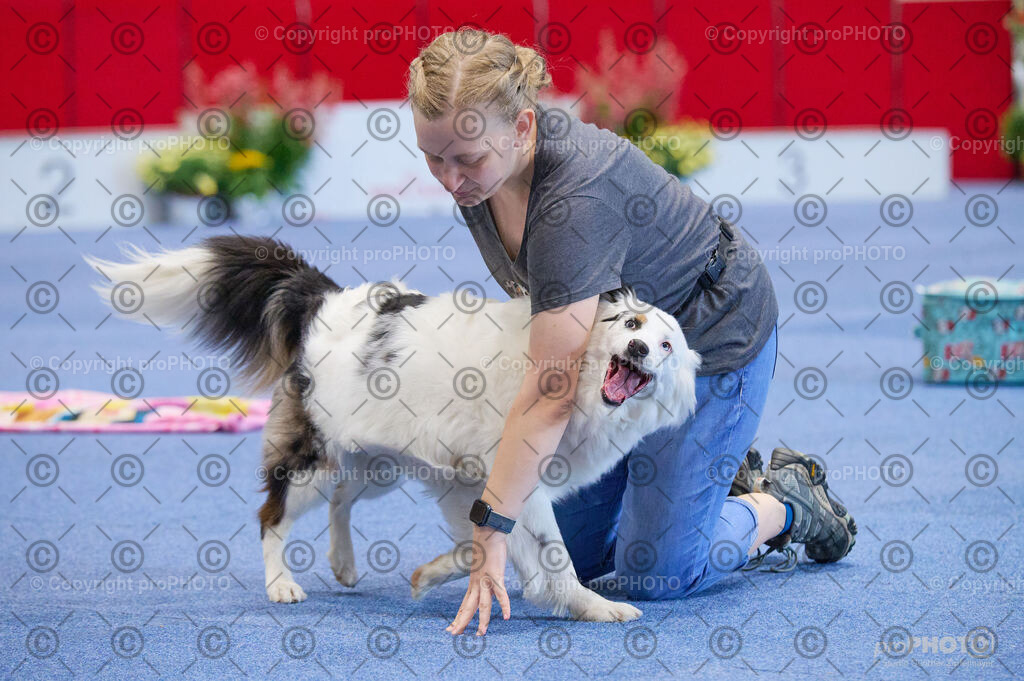 202406_ÖKV-IHA-Tulln24_DSC_4483 | proPHOTO - Realisiert mit Pictrs.com