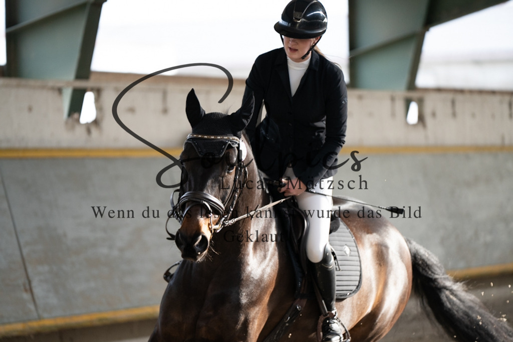 A7V03506 | Pferdefotograf