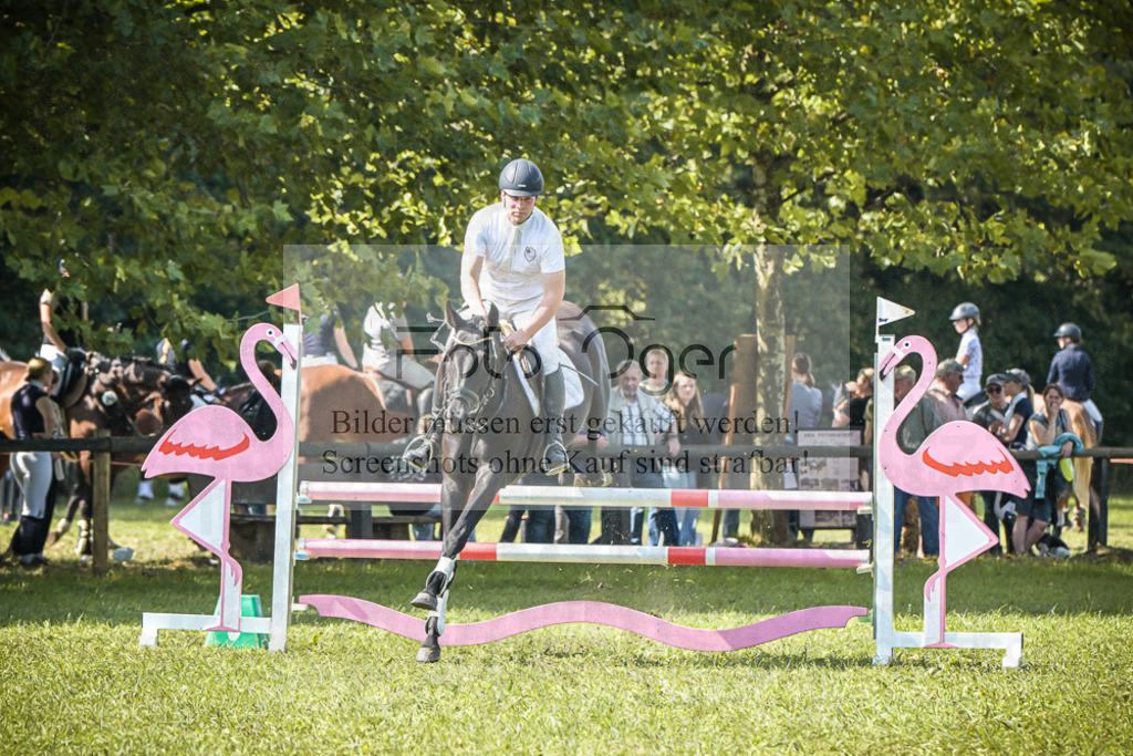 DOS_0646 | Entdecke hochwertige Reitturnierfotos von Foto Oger. Professionell, emotional und authentisch – jetzt Lieblingsmomente im Shop bestellen.Deutschlandweite Turnierfotografie. - Realisiert mit Pictrs.com